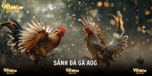 Sảnh Đá Gà AOG Trải Nghiệm 1-0-2 Tại Thiên Đường 98WIN