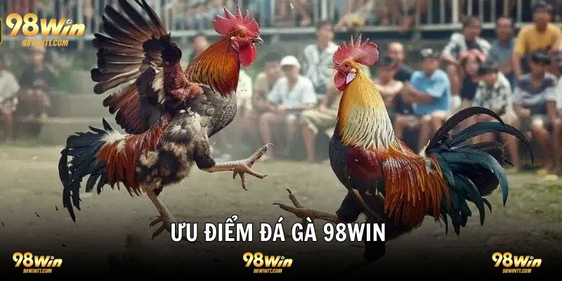 Ưu điểm tạo tên tuổi 98WIN đá gà